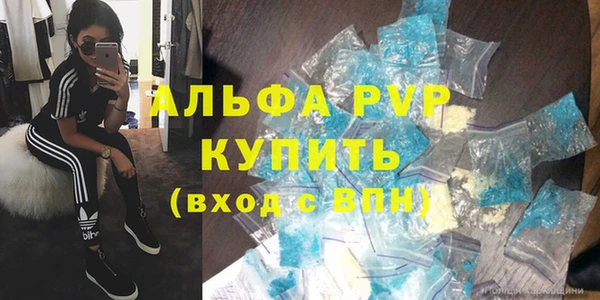 эйфоретик Бородино