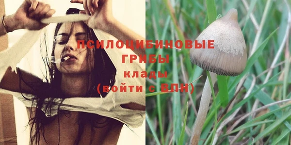 трава Бронницы