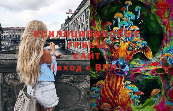 эйфоретик Бородино
