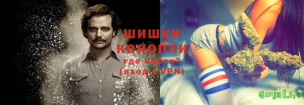 эйфоретик Бородино